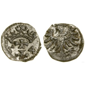 Poland, denarius, 1554, Gdansk