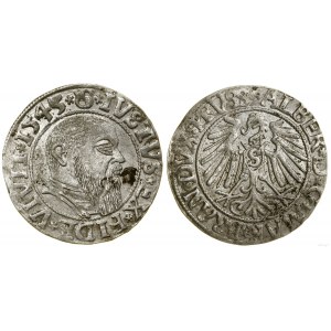 Prusy Książęce (1525-1657), grosz, 1543, Królewiec