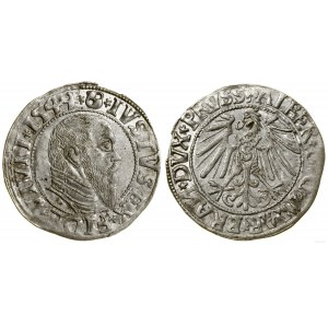Ducal Prussia (1525-1657), penny, 1544, Königsberg
