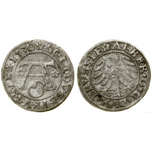 Prusy Książęce (1525-1657), szeląg, 1530, Królewiec