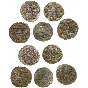 Ducal Prussia (1525-1657), lot 5 x denarius, Königsberg