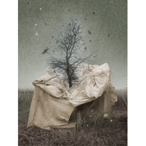 Konrad Kucz, INVISIBILIS, 2013