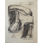 (HEWELIUSZ Jan.), Acta Eruditorum anno MDCLXXXII publicata [...].