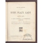 SCHLEYER Aug(ust), Ryby, płazy, gady. Atlas.