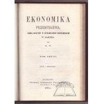EKONOMIKA przemysłowa.