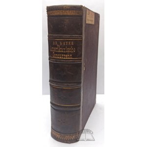 MEYER Rudolf Hermann, Ursachen der Amerikanischen Concurrenz.