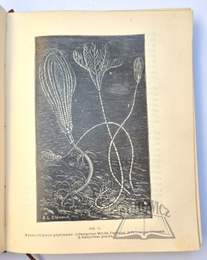 NUSBAUM - HILAROWICZ Joseph, Trails of Knowledge.