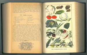 (CULINARIA). GAŁECKA M[aria], KULZOWA H[alina], Polish Cuisine.