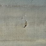 GIANNI, Coastal landscape - Gianni