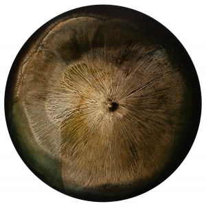 Martyna Łuszczyńska (ur. 1997, Łódź), Green accent of sound N.02, 2024