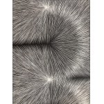 Agata Kycia, Afterimage 05B