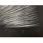 Agata Kycia, Afterimage 05B