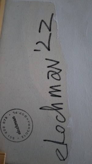 Ewelina Lochman, Wojna na niebiesko