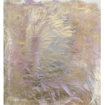 Piotr Trusik (ur. 1984), Złota iluzja, 2017