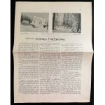 [Falerystyka] - Zestaw [1906/1985]