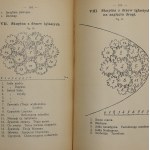 Jankowski Edmund, Małe Ogródki : z odpowiedniemi planami [1913]