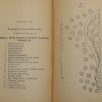 Jankowski Edmund, Małe Ogródki : z odpowiedniemi planami [1913]
