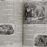Jakub Wujek z Wągrowca, Biblia : księgi Starego Testamentu z łacińskiego na język polski przełożone [1860]