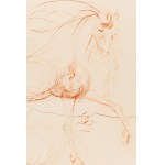 Salvador Dalí (1904 Figueres - 1989 Figueres), L'Etalon Blanc (Hommage au cheval), 1974