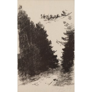 Leon Wyczółkowski (1852 Huta Miastkowska - 1936 Warschau), Straße im Wald, 1907