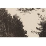 Leon Wyczółkowski (1852 Huta Miastkowska - 1936 Warschau), Straße im Wald, 1907