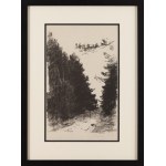 Leon Wyczółkowski (1852 Huta Miastkowska - 1936 Warschau), Straße im Wald, 1907