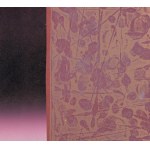 Tadeusz Lapinski (1928 Rawa Mazowiecka - 2016 Florida), Eyewitness, 1973