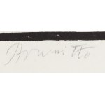Andrzej Strumiłło (1927 Vilnius - 2020 Suwałki), Pták, 70. léta 20. století.