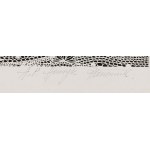 Henryk Płóciennik (1933 Lodz - 2020 ), Luna di miele IX, 1968