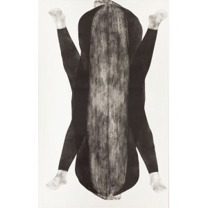 Agnieszka Rożnowska, Repetitions IV, 2009