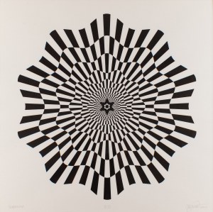 Maurycy Gomulicki (ur. 1969, Warszawa), 