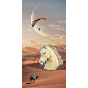 Paulina Zalewska, Desert Horse, 2024
