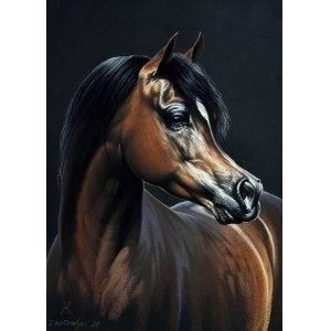 Zbigniew Kotowski, Medalion., 2020