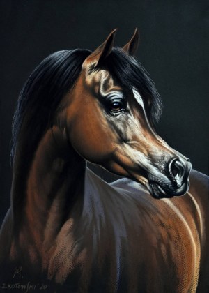 Zbigniew Kotowski, Medalion., 2020