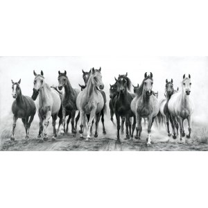 Magdalena Muraszko-Kowalska, Arabian herd, 2024