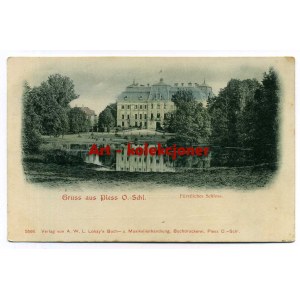 Pszczyna - Pless - Palace