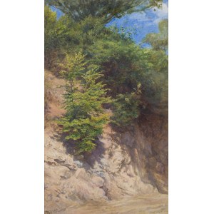 Artist unspecified (19th century), Forest landscape