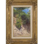 Artist unspecified (19th century), Forest landscape