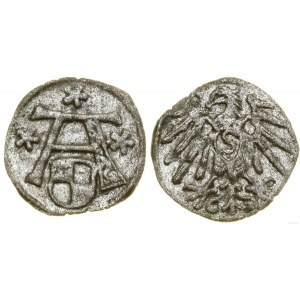 Prusy Książęce (1525-1657), denar, bez daty, Królewiec