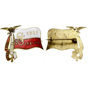Austria, sokolska odznaka pamiątkowa, 1907