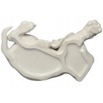 Lying Young Dachshund (SS Allach Model No 1) by T.Kärner