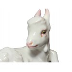 SS Allah colorful goat model 102 by KARNER