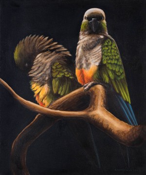 Aleksandra Kwapiszewska, Relationship, 2024