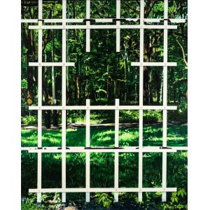 Katarzyna Lembryk, Untitled (bush telegraph), 2013