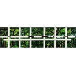 Katarzyna Lembryk, Untitled (bush telegraph), 2013
