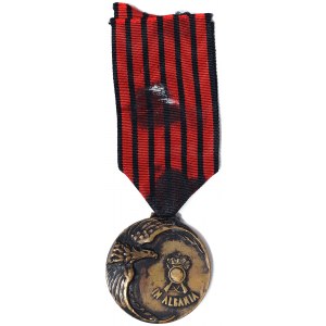 Kingdom, Vittorio Emanuele III, Commemorative medal of the 94th Infantry Regiment, Albania campaign 1941