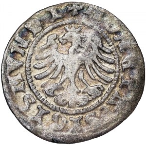 Poland, Sigismund I, 1/2 Grosz (1/2 Groschen) 1507, Krakow