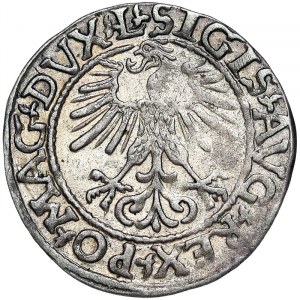 Poland, Sigismund II, 1/2 Grosz (1/2 Groschen) 1561, Vilnius