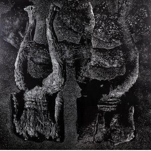 Iwona Cur, Surogaci, 2013 r.