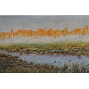 Ruisseau traversant une prairie, 1re moitié du 20e siècle.